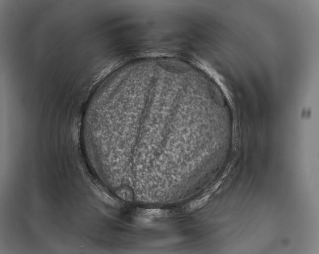 X0000097840153200803281232