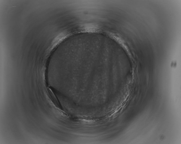 X0000097840154200803281232
