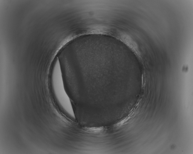 X0000097840156200803281232