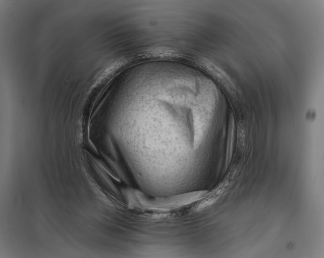 X0000097840158200803281232
