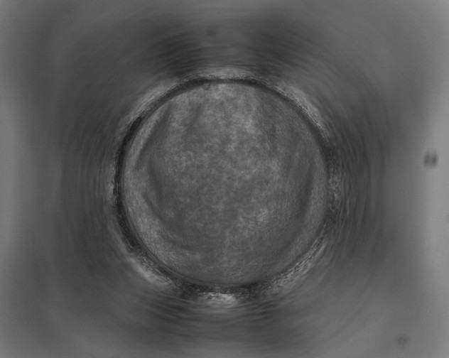X0000097840159200803281232
