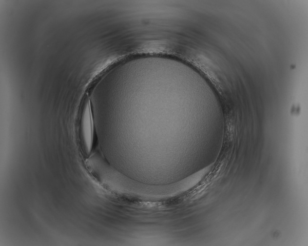 X0000097840160200803281232
