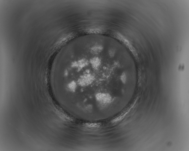 X0000097840161200803281232