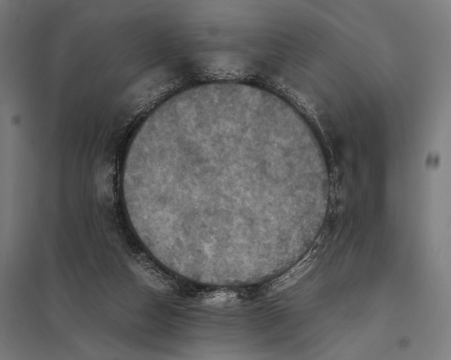 X0000097840162200803281232