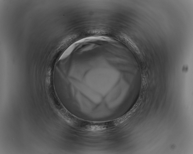 X0000097840163200803281232