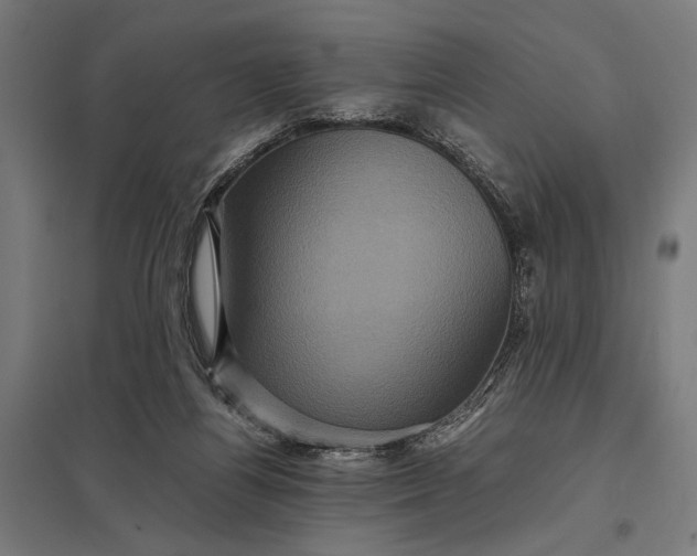 X0000097840164200803281232