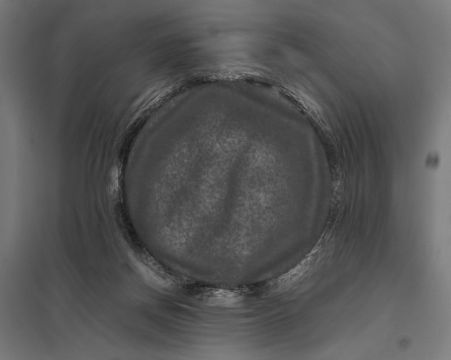 X0000097840166200803281232
