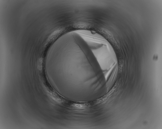 X0000097840167200803281232