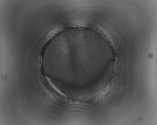 X0000097840168200803281232