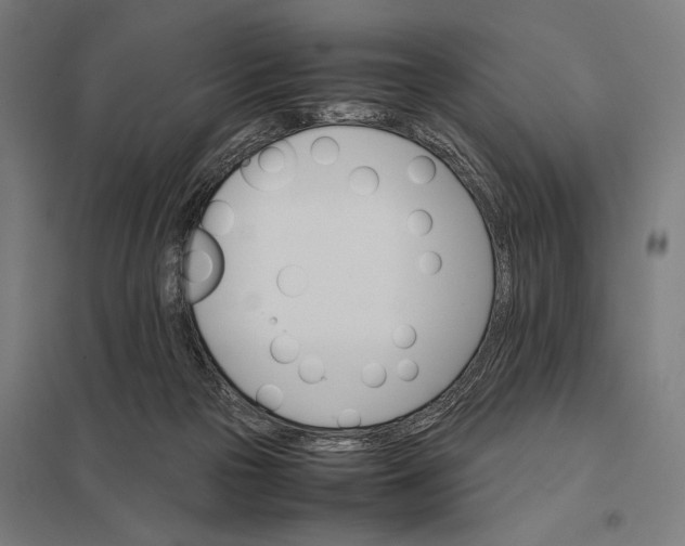 X0000097840169200803281232