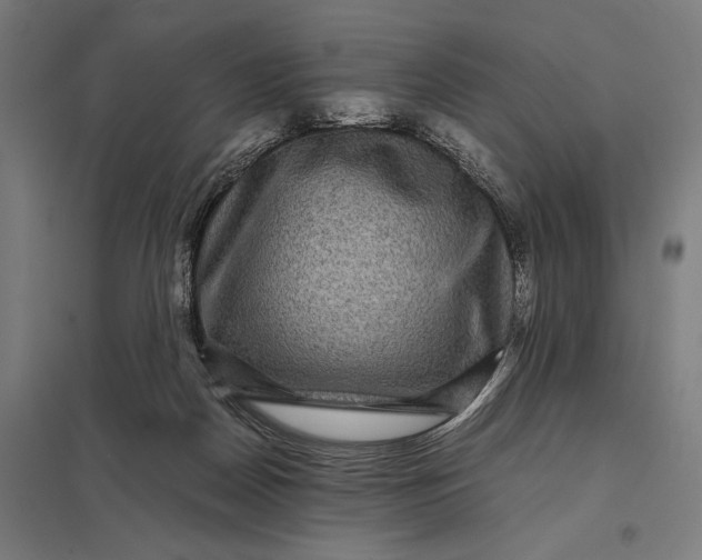 X0000097840170200803281232
