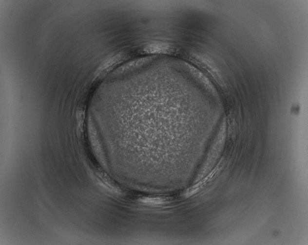 X0000097840171200803281232