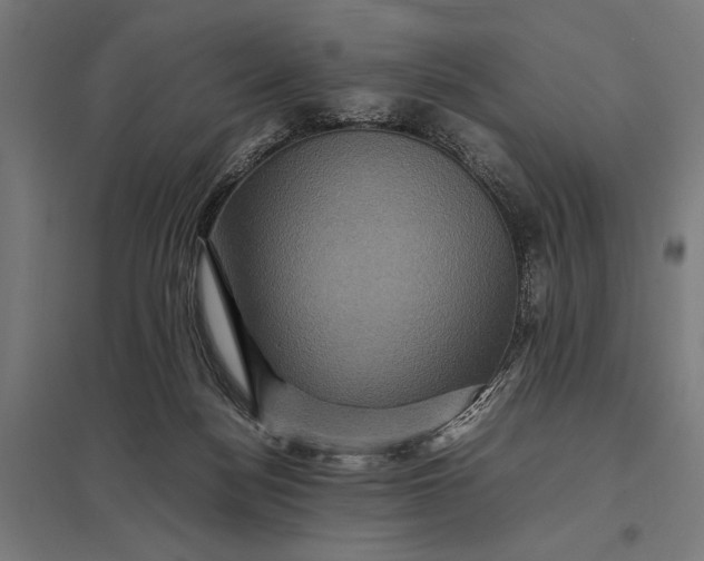 X0000097840172200803281232