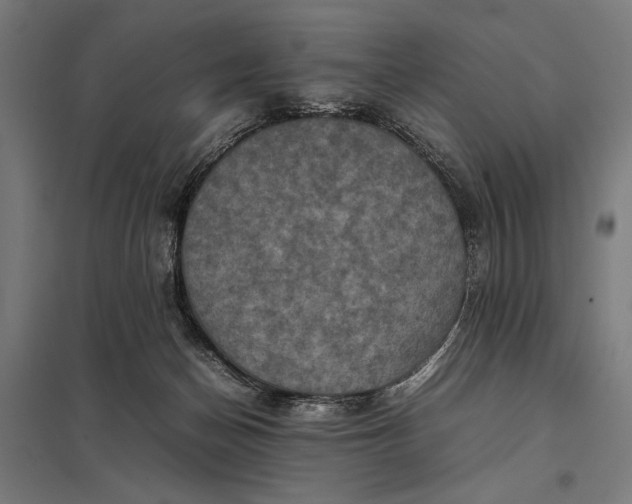X0000097840174200803281232