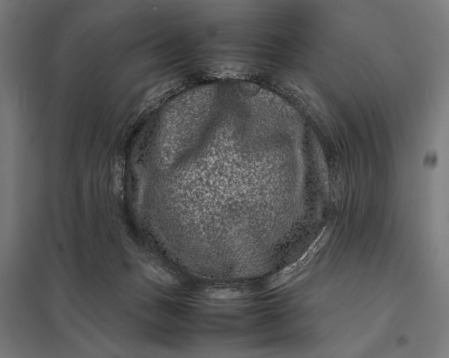 X0000097840175200803281232