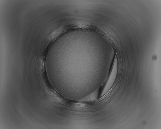 X0000097840176200803281232