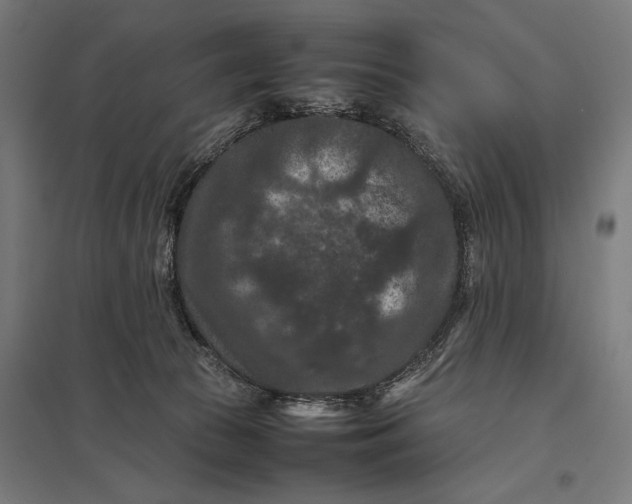 X0000097840177200803281232