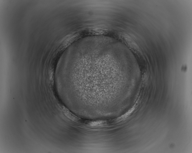X0000097840178200803281232