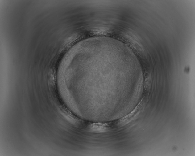 X0000097840179200803281232