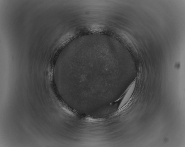 X0000097840180200803281232