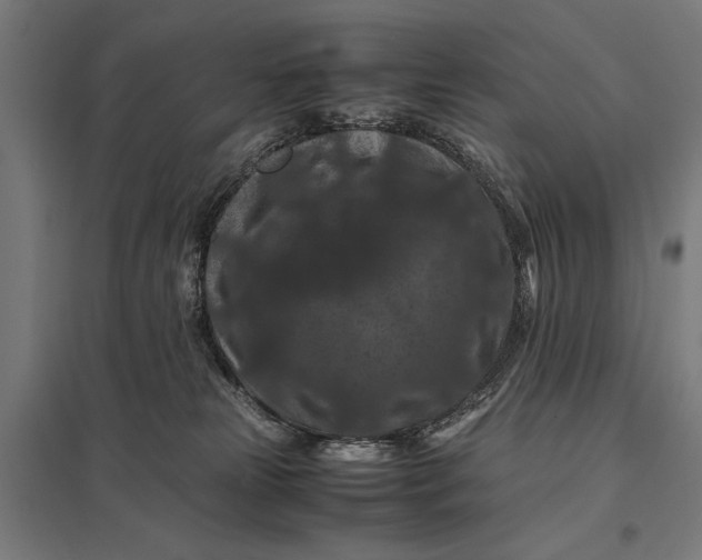 X0000097840181200803281232