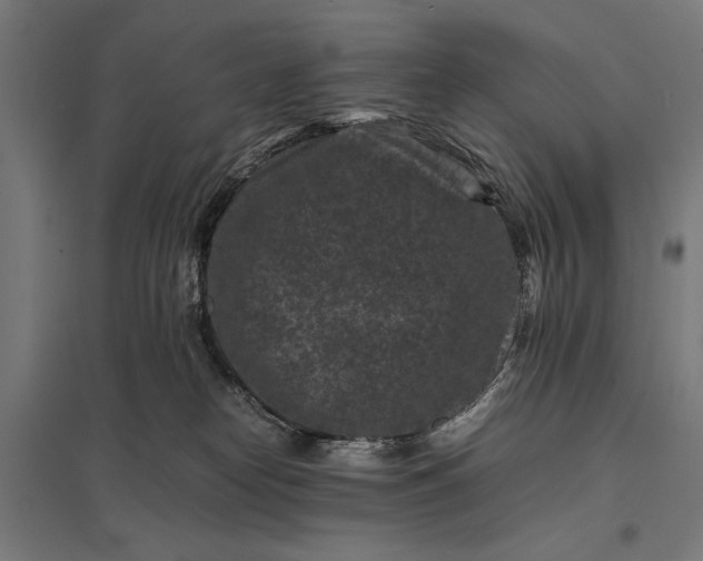 X0000097840182200803281233