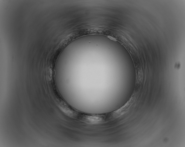 X0000097840183200803281233