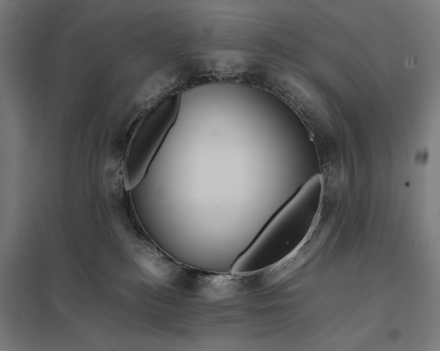 X0000097840184200803281233