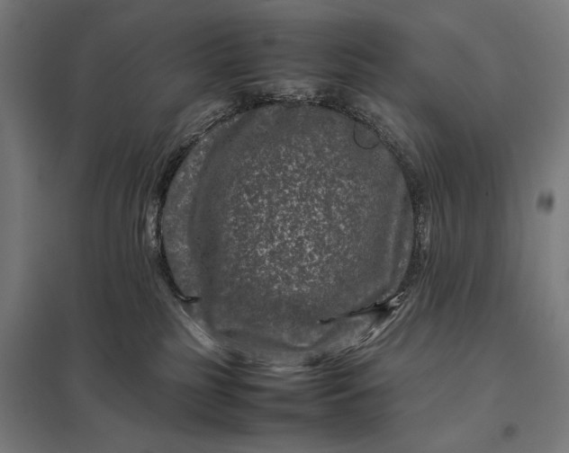 X0000097840185200803281233