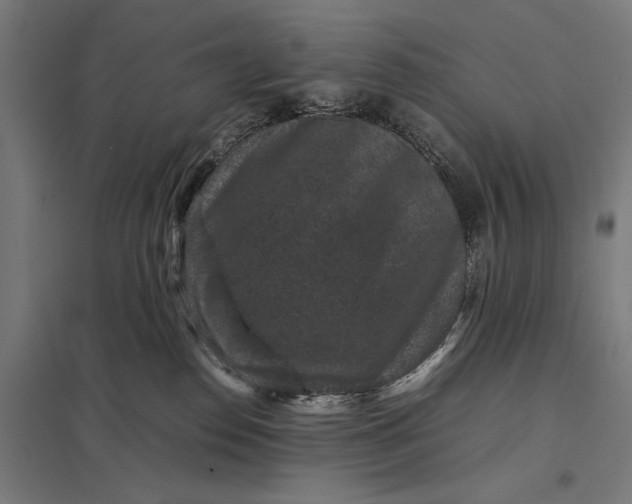 X0000097840186200803281233