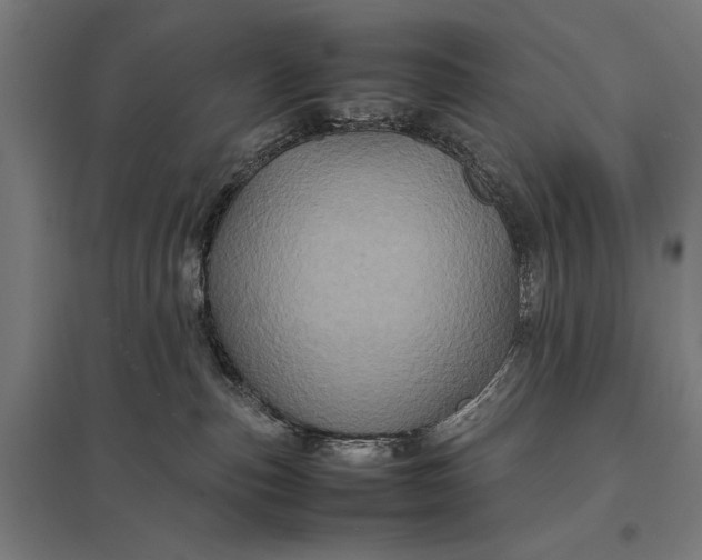X0000097840187200803281233