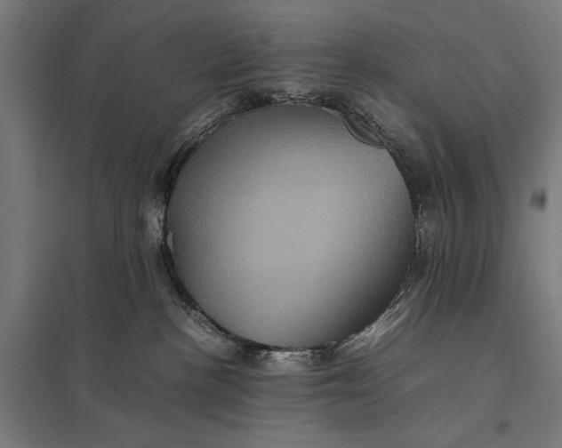 X0000097840188200803281233