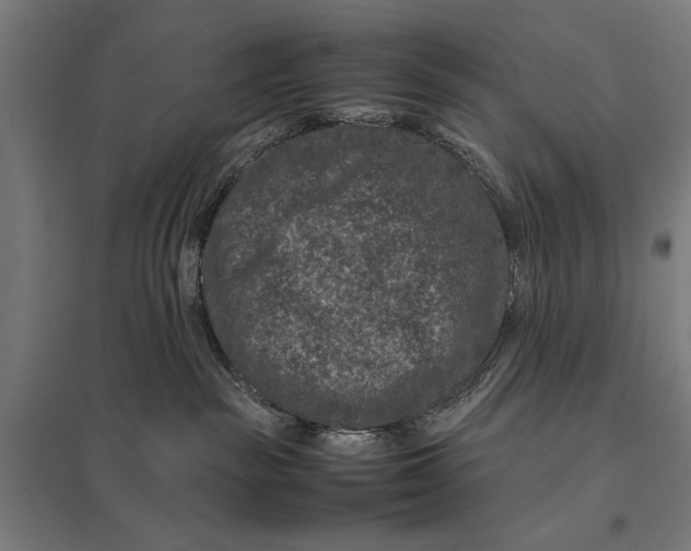 X0000097840189200803281233