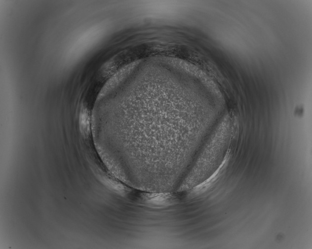 X0000097840191200803281233
