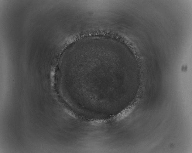 X0000097840192200803281233