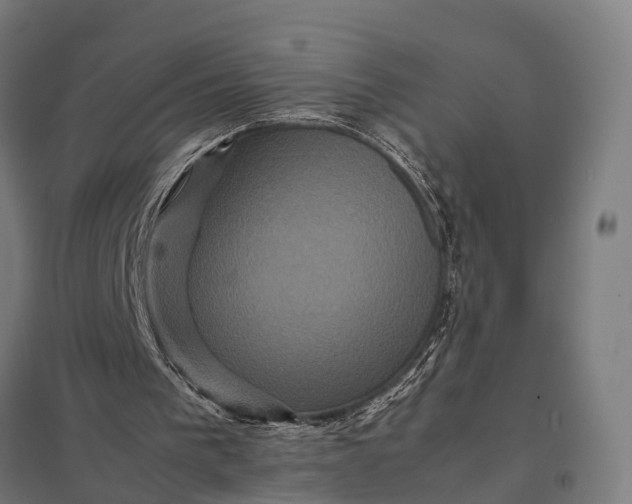 X0000097840193200803281232