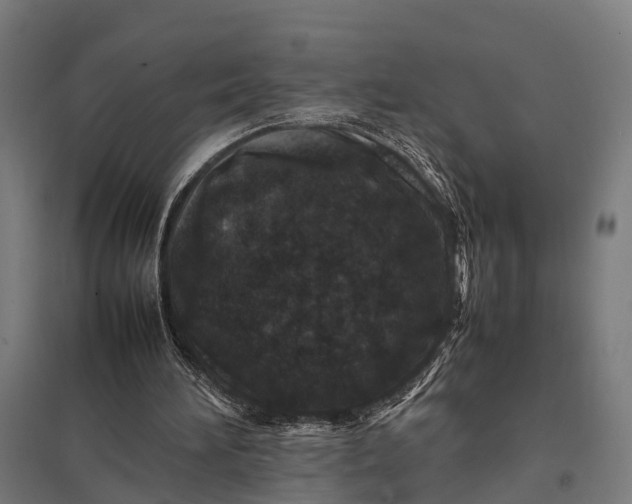 X0000097840196200803281232