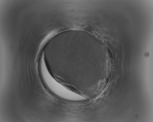 X0000097840197200803281232