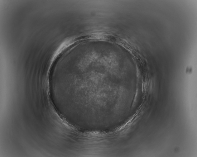 X0000097840198200803281232