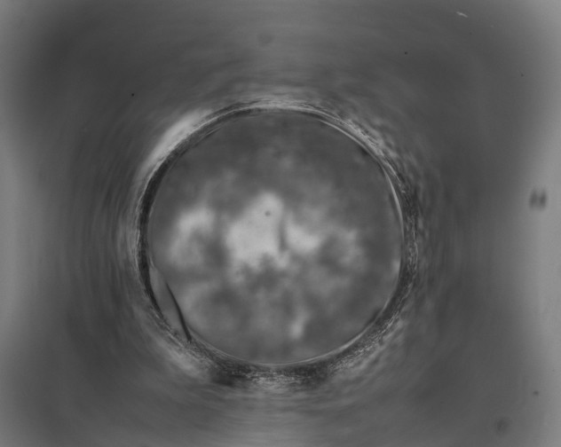 X0000097840199200803281232