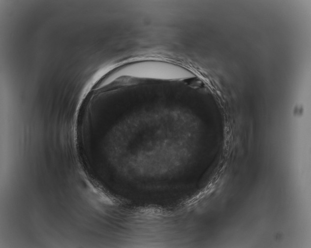 X0000097840200200803281232
