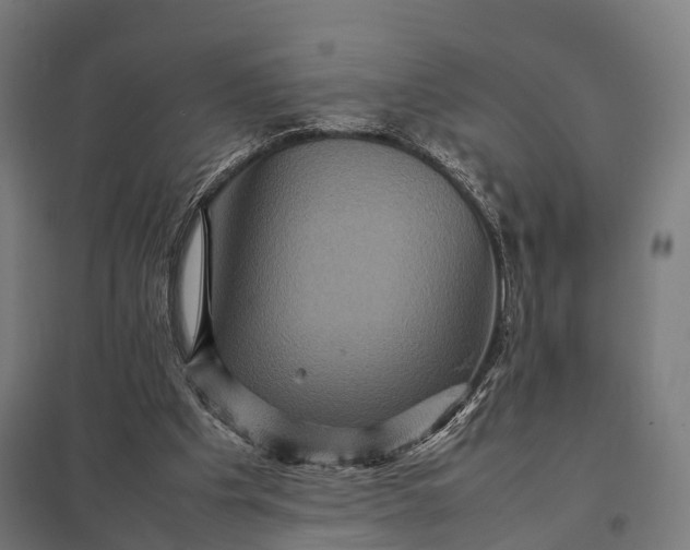 X0000097840201200803281232