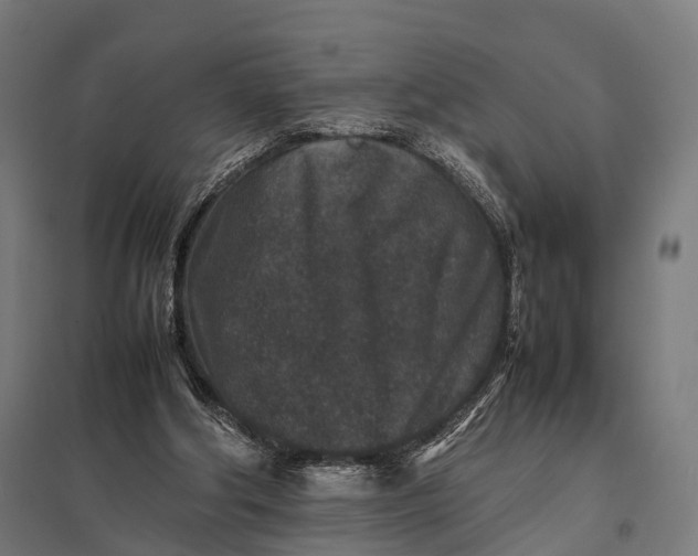 X0000097840202200803281232
