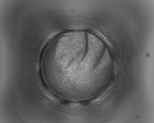 X0000097840203200803281232