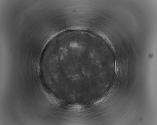 X0000097840204200803281232