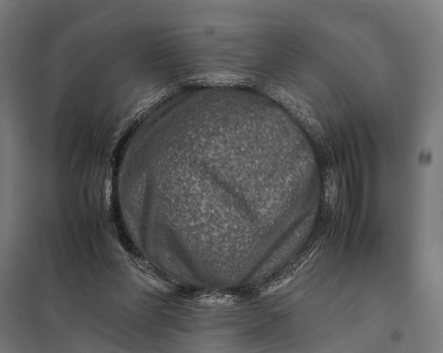 X0000097840206200803281232