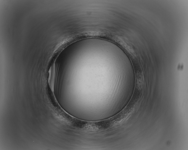 X0000097840207200803281232