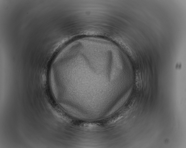 X0000097840208200803281232