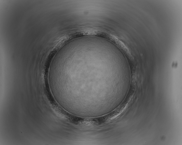 X0000097840209200803281232
