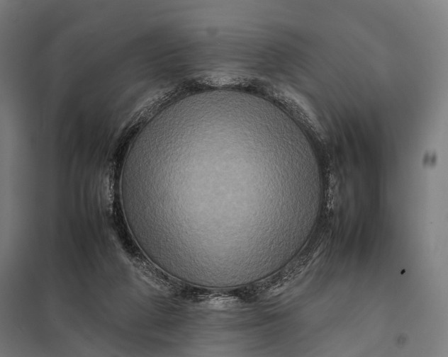 X0000097840210200803281232